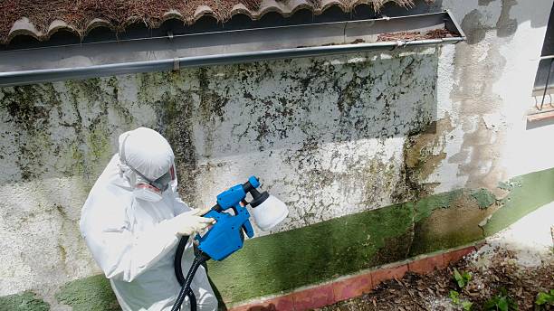 Top rated local Mold Cleanup specialists in Portland, TN